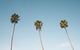 California high school trip