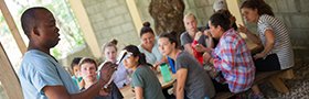 Honors Fellowship - Public Health Track