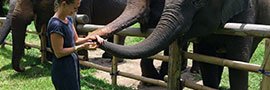 Thailand: The Elephant Village Initiative™