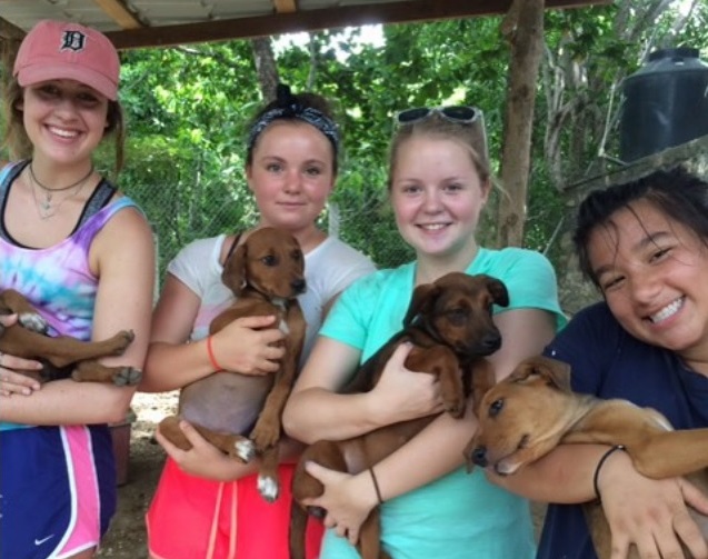 Volunteering for Teens with Animals